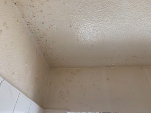 Bathroom Ventilation Problem